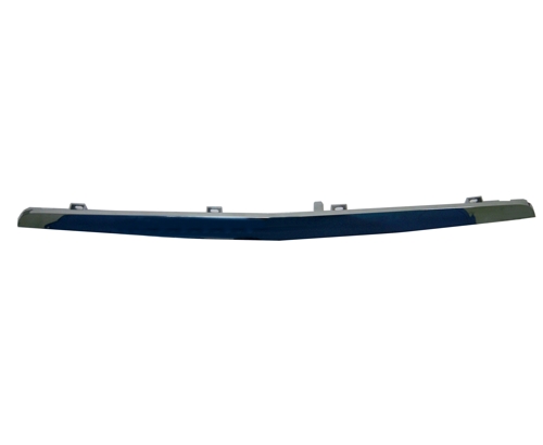 Aftermarket MOLDINGS for MERCEDES-BENZ - C230, C230,02-06,Grille molding