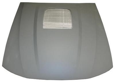 Aftermarket HOODS for FORD - MUSTANG, MUSTANG,03-04,Hood panel assy